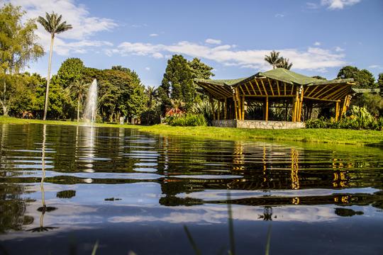gallery/fotografia_principal_jbb